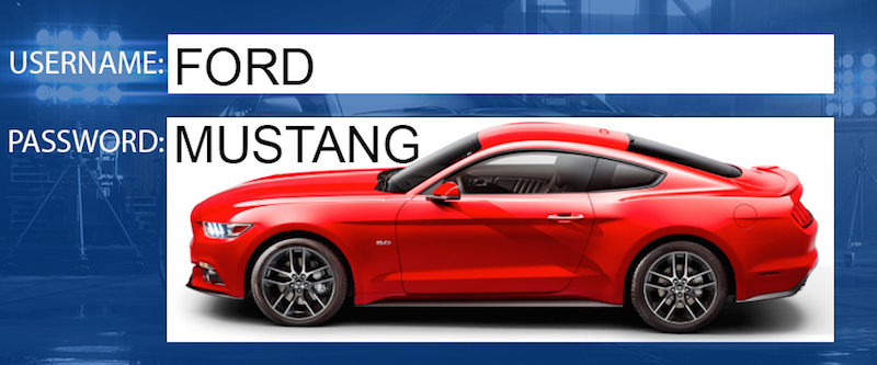 Mustang Password